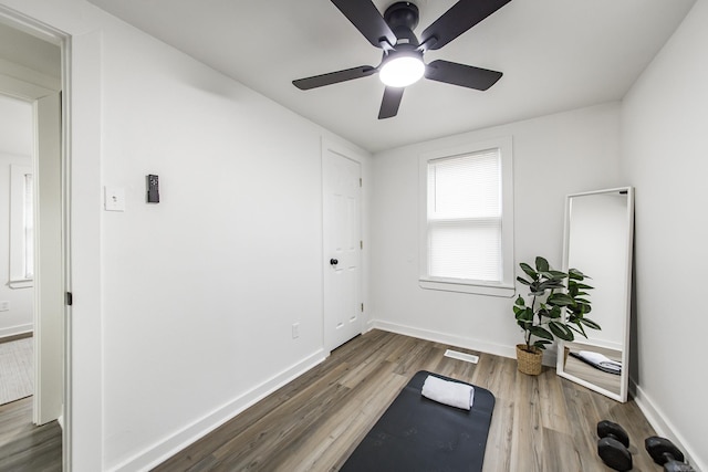 workout room with wood-type flooring and ceiling fan