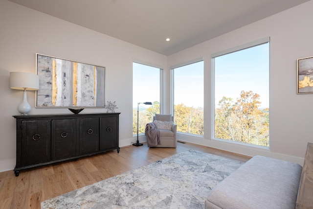 sitting room featuring light hardwood / wood-style floors