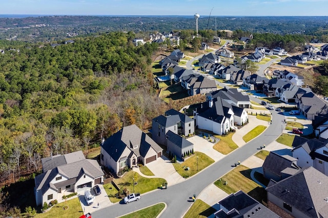 bird's eye view