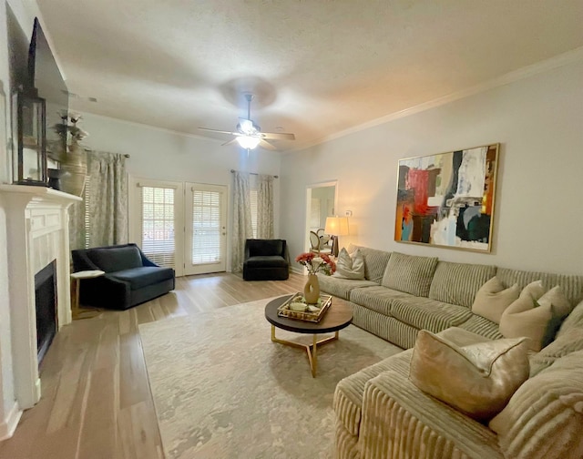 living room featuring crown molding, ceiling fan, and light wood-type flooring