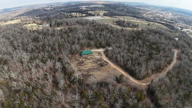 bird's eye view featuring a mountain view