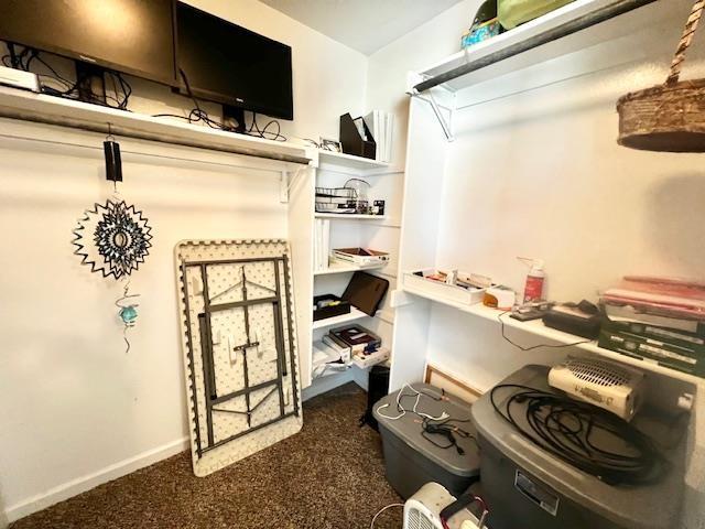 spacious closet with dark carpet