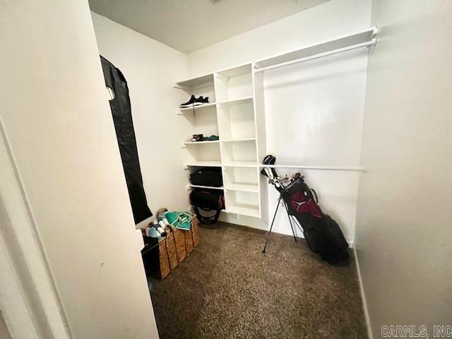 walk in closet featuring carpet flooring