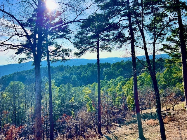 view of mountain feature