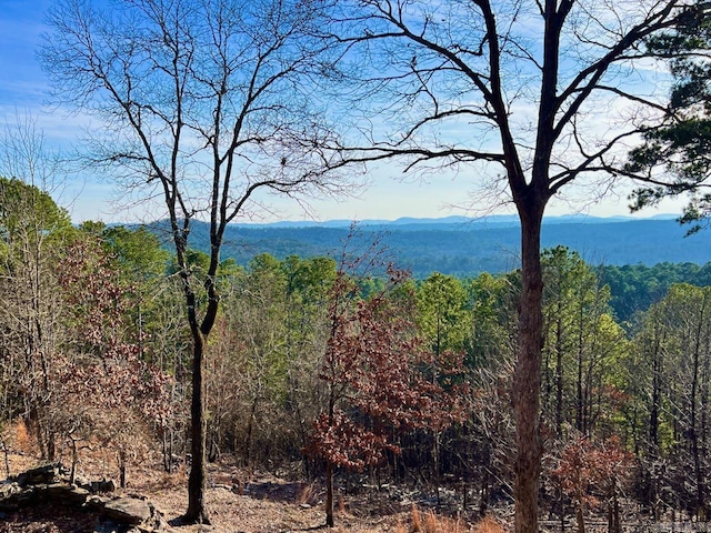 view of mountain feature