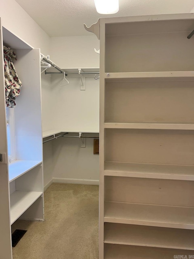 walk in closet with light colored carpet