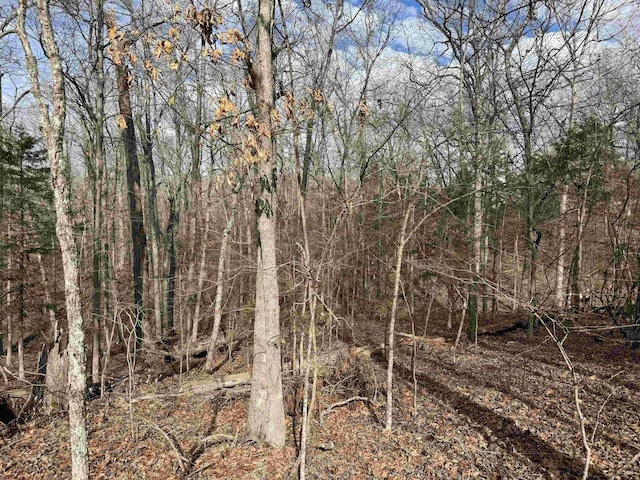 00 Alta Vis, Bull Shoals AR, 72619 land for sale