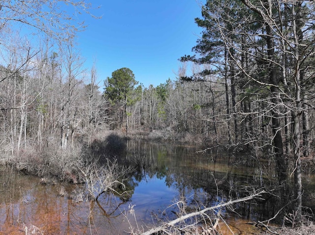 Listing photo 3 for XXX Edwards Rd, Mineral Sprs AR 71851