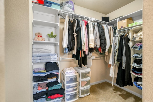 walk in closet with carpet flooring