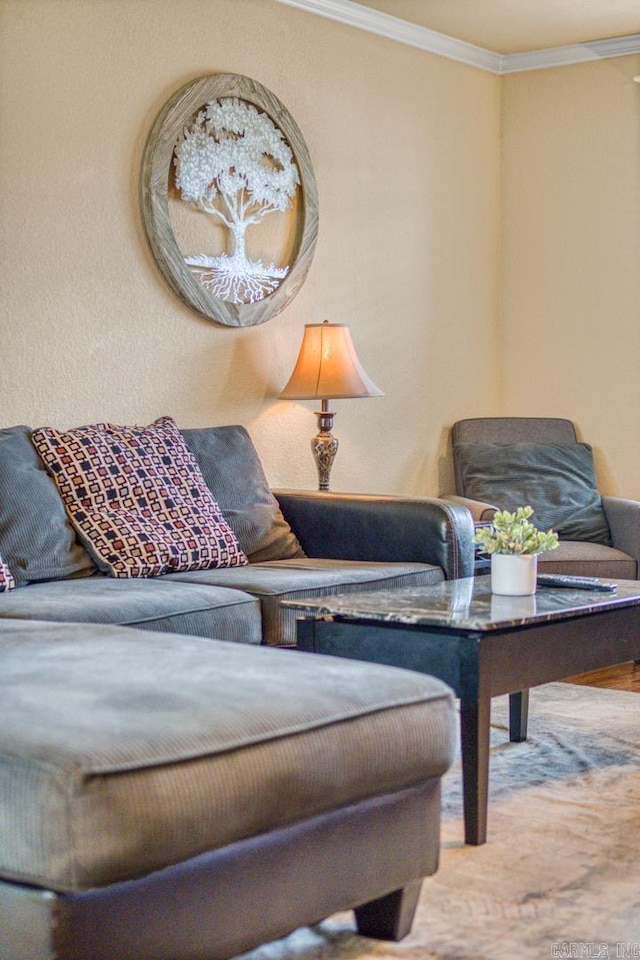 living room with crown molding