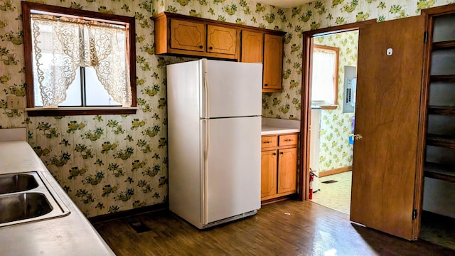 kitchen with sink, dark hardwood / wood-style floors, and white refrigerator