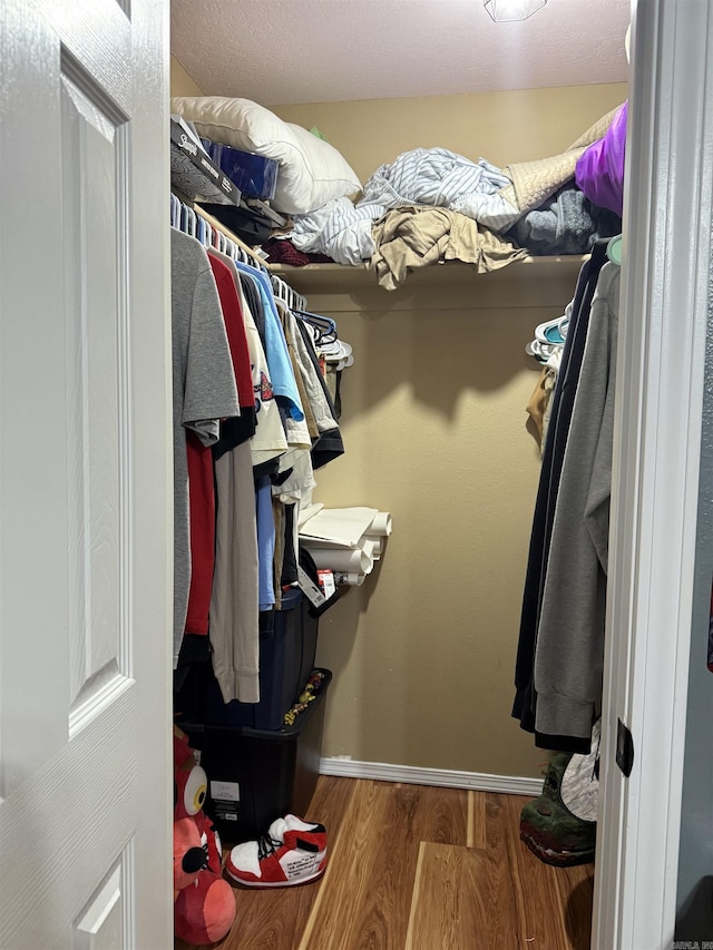 spacious closet featuring hardwood / wood-style flooring