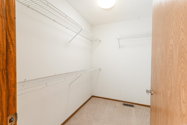 spacious closet with light colored carpet