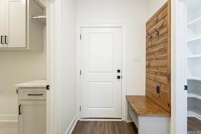 mudroom featuring dark hardwood / wood-style flooring