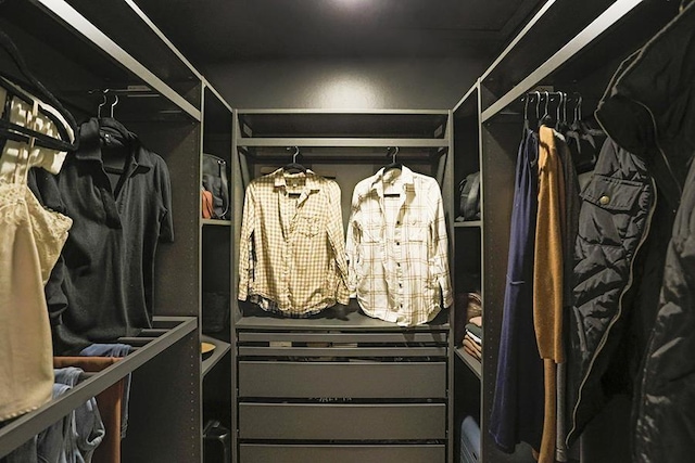 view of walk in closet