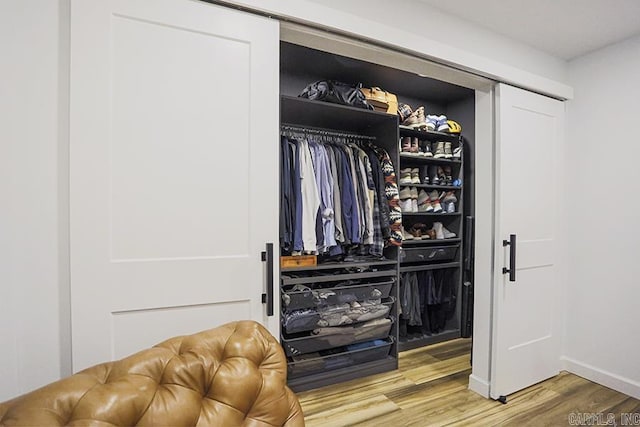 view of closet
