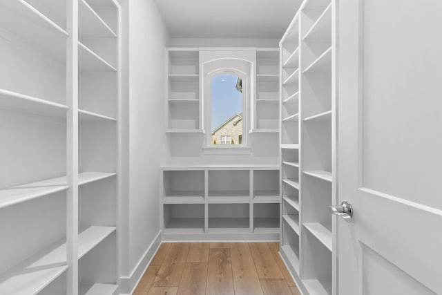 spacious closet featuring wood finished floors