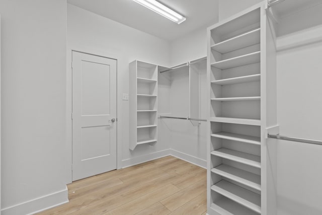 spacious closet featuring light wood-style floors