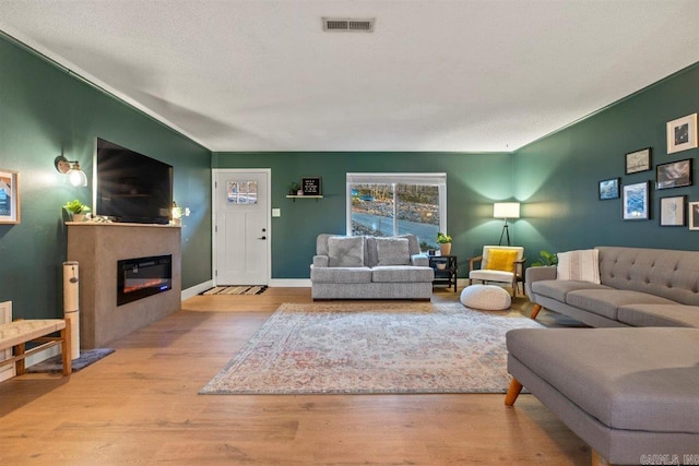 living room featuring wood-type flooring