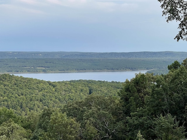 property view of water