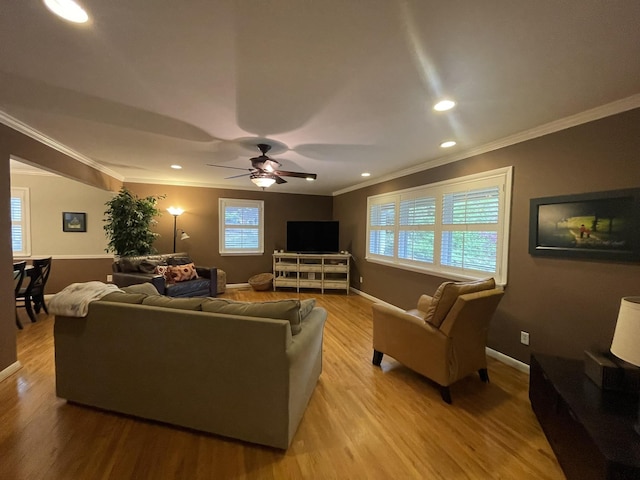 living room featuring ornamental molding, ceiling fan, and light wood-type flooring