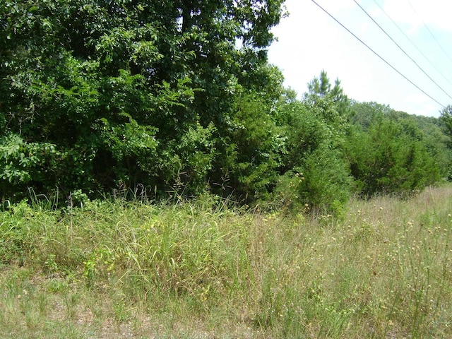 206 Wedge Rd, Horseshoe Bend, AR 72512