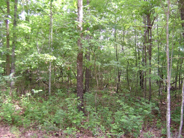206 Wedge Rd, Horseshoe Bend, AR 72512