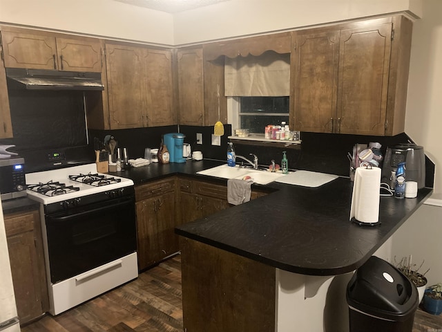 kitchen with gas range, dark hardwood / wood-style floors, and sink