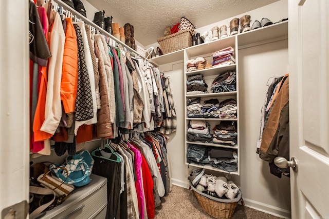 spacious closet featuring carpet