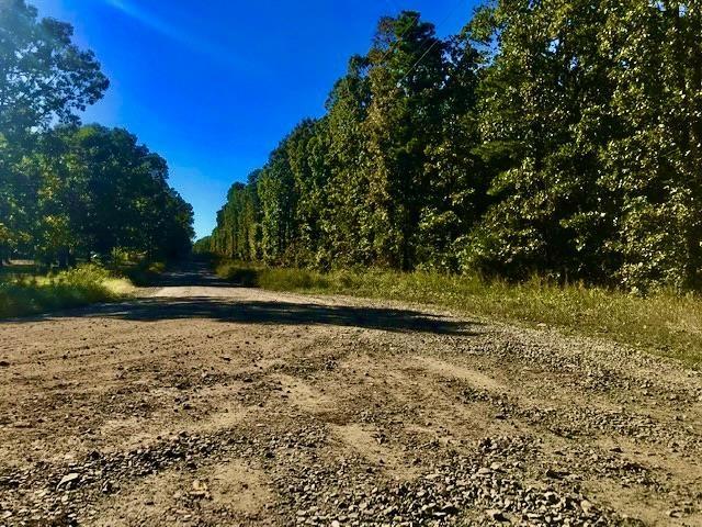 0 W S Ridge Rd, Bigelow AR, 72016 land for sale