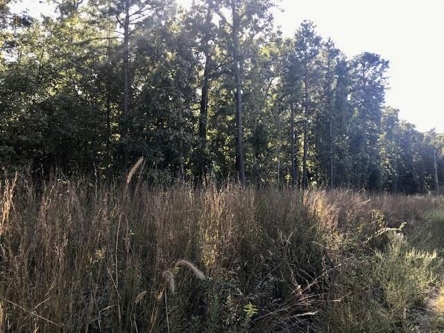 Listing photo 2 for 0 W S Ridge Rd, Bigelow AR 72016