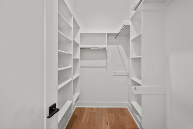 walk in closet with light wood-type flooring