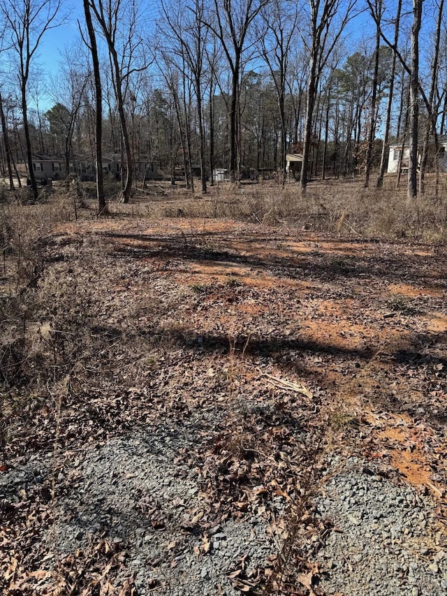 Listing photo 2 for Lot1 Mount Olive, Bauxite AR 72011