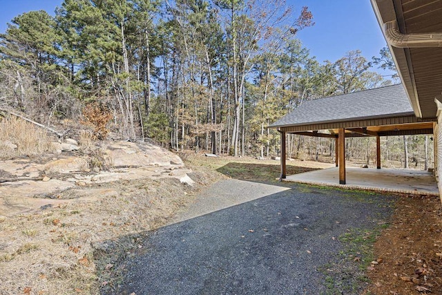 view of yard featuring a patio