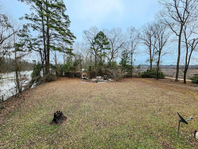 868 River Bend Cv, El Dorado, AR 71730 - view of yard
