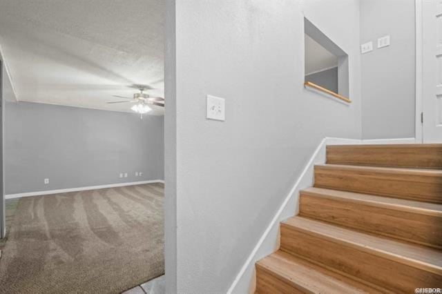 staircase featuring ceiling fan and carpet flooring