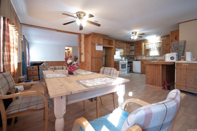 dining space featuring sink, light hardwood / wood-style flooring, wooden walls, and ceiling fan