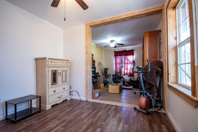 exercise area with ceiling fan and dark hardwood / wood-style flooring