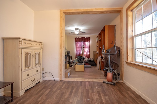 hall featuring dark wood-type flooring