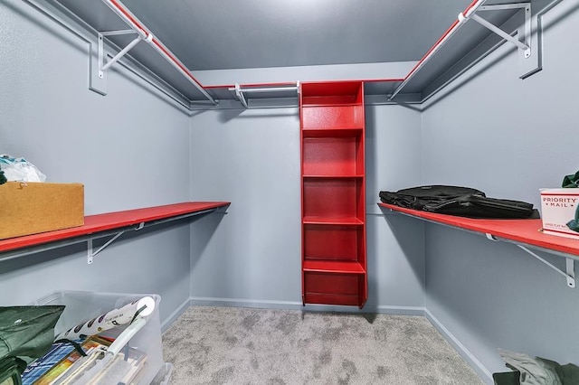 spacious closet featuring light colored carpet