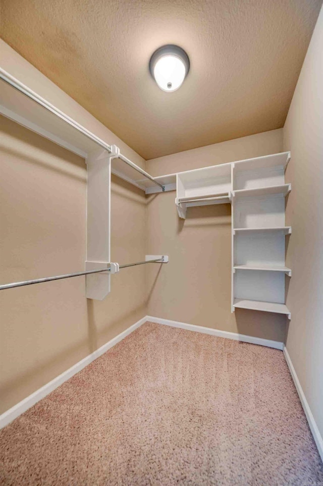 spacious closet with carpet