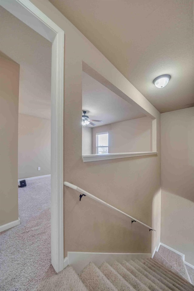 staircase featuring carpet flooring