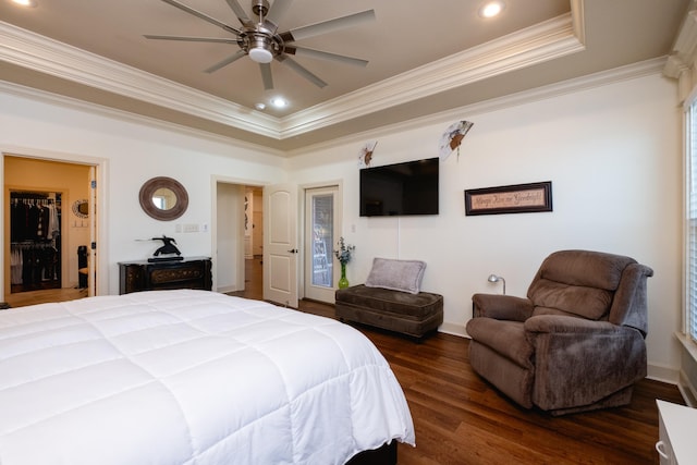 bedroom with a spacious closet, ceiling fan, a raised ceiling, ornamental molding, and dark hardwood / wood-style floors