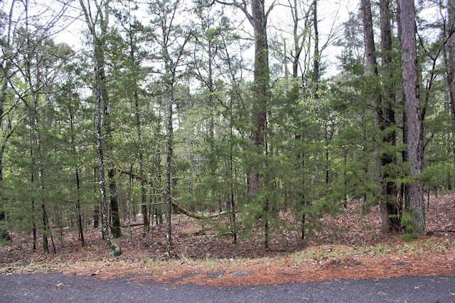 Listing photo 3 for 000 Genie Ln, Edgemont AR 72044