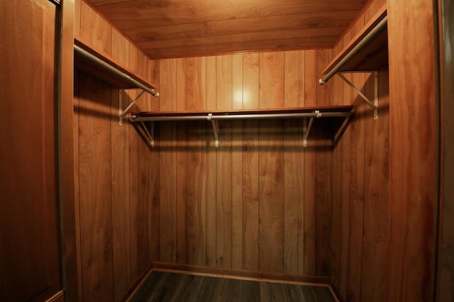 walk in closet featuring dark hardwood / wood-style flooring