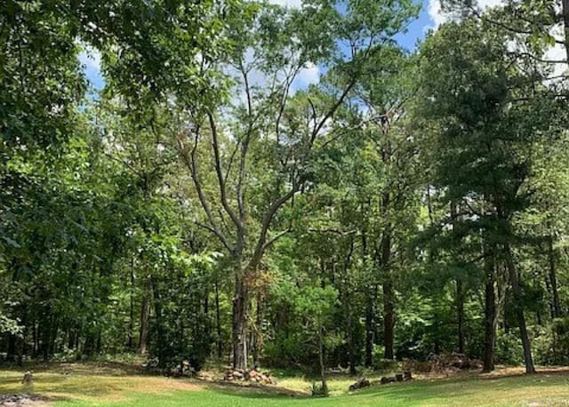 view of local wilderness