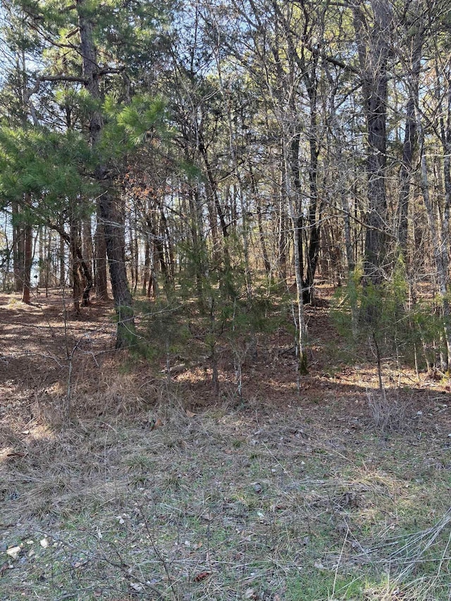 Address Not Disclosed, Hot Springs AR, 71913 land for sale