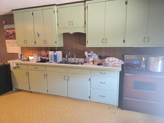 kitchen featuring sink, range, and wood walls