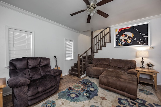 living room with hardwood / wood-style floors, ceiling fan, and ornamental molding