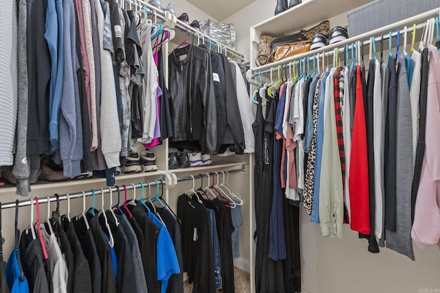 view of spacious closet